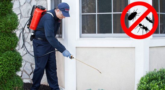 Ardahan Karınca İlaçlama böcek ilaçlama ve haşere kontrolü — ilaclama-tr.com